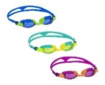 Lightning Pro Goggles